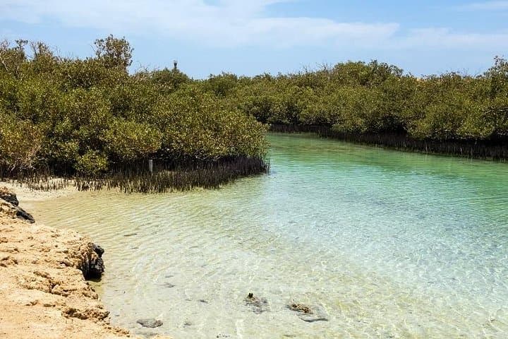 Ras Mohammed National Park Snorkeling Day Trip from Sharm el-Sheikh photo 3