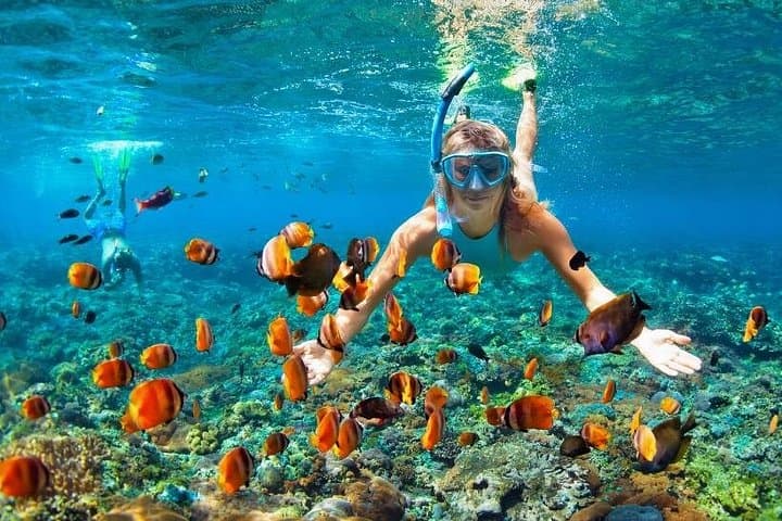 Ras Mohammed National Park Snorkeling Day Trip from Sharm el-Sheikh photo 5