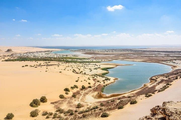Cairo to Fayoum: Wadi El Rayan Waterfalls & Whale Valley Day Trip photo 3