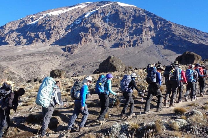 8-Day Lemosho Route Kilimanjaro Climb: Private Guided Trek to Uhuru Peak photo 3