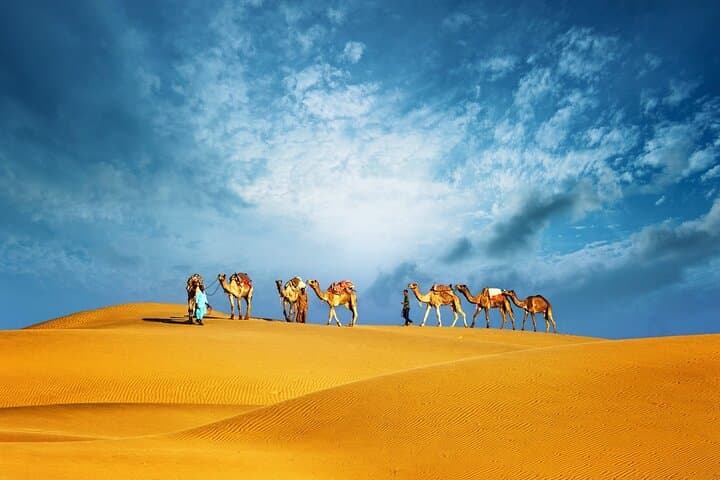 Sunset Dunes: Abu Dhabi Evening Desert Safari Adventure photo 3