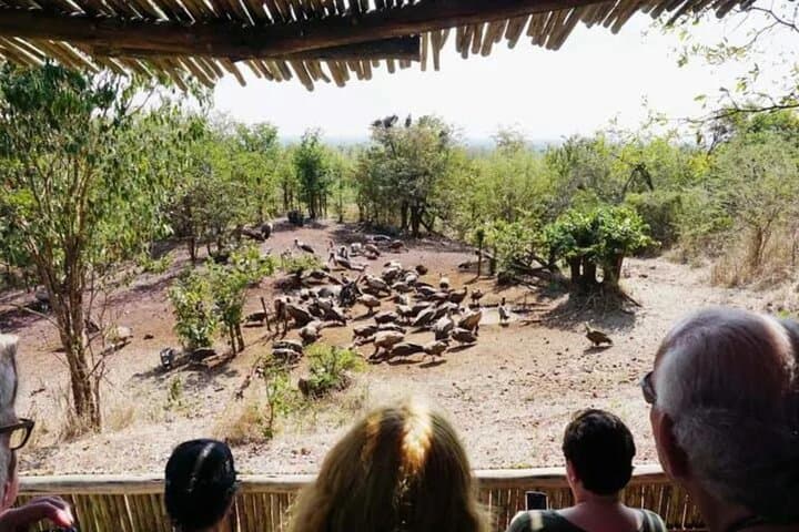 4x4 Bush Adventure: Baobab, Vultures & Victoria Falls Game Drive photo 2
