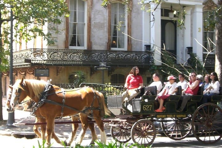 Savannah Horse-Drawn Daytime Tour: 50-Minute Narrated Historic Carriage Ride photo 6