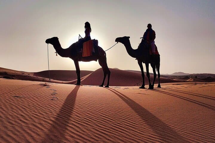Merzouga Sunset Camel Ride Across the Erg Chebbi Dunes photo 2