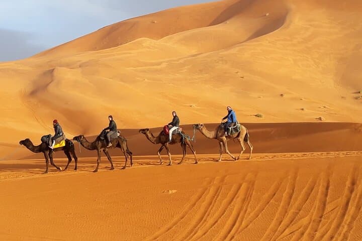 Merzouga Sunset Camel Ride Across the Erg Chebbi Dunes photo 6