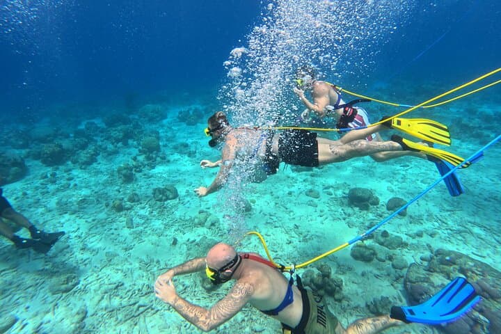 SNUBA in Curaçao: Guided Shallow Dive Along the East Coast Reefs photo 2