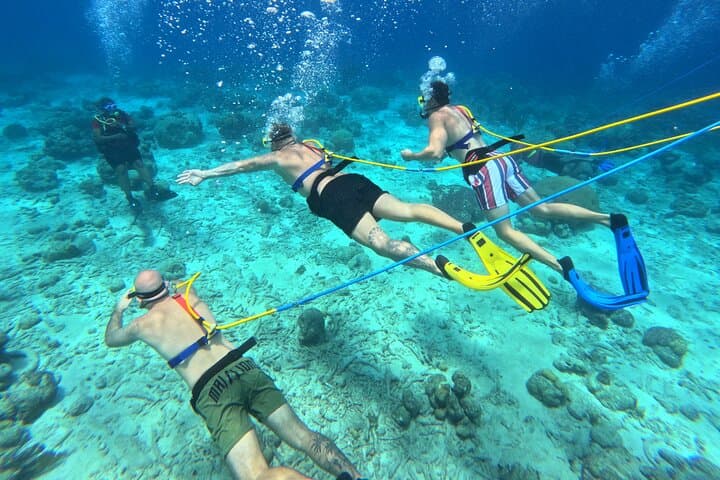 SNUBA in Curaçao: Guided Shallow Dive Along the East Coast Reefs photo 3