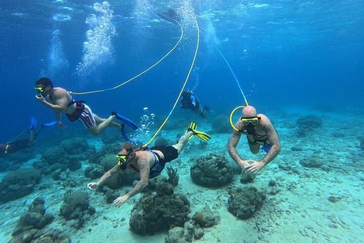 SNUBA in Curaçao: Guided Shallow Dive Along the East Coast Reefs photo 5