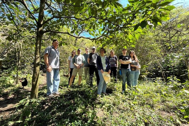 Organic Coffee Farm Tour in Loja & Vilcabamba — Farm Walk, Processing & Cupping
