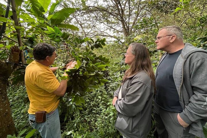 Organic Coffee Farm Tour in Loja & Vilcabamba — Farm Walk, Processing & Cupping photo 2
