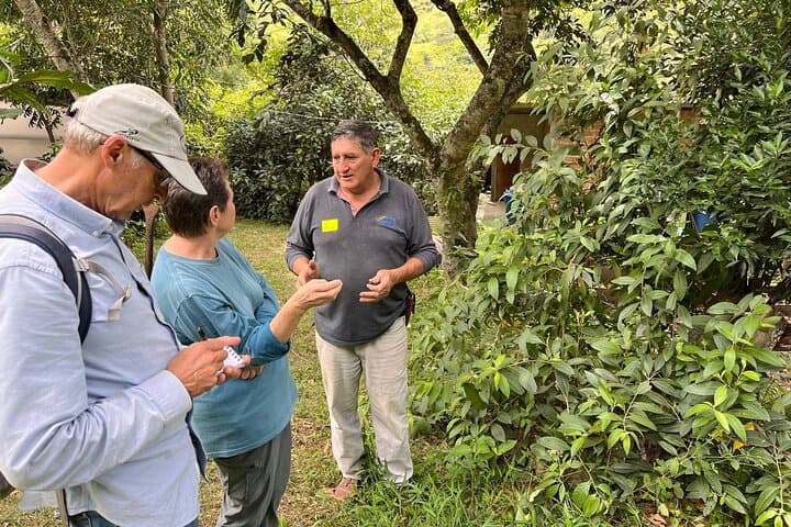 Organic Coffee Farm Tour in Loja & Vilcabamba — Farm Walk, Processing & Cupping photo 3