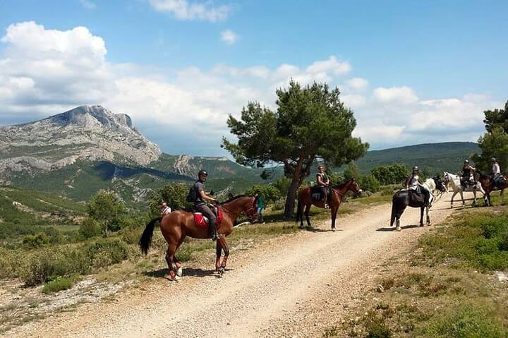 Horseback Riding on Sainte-Victoire: Provence Countryside Day with Wine & Pétanque photo 1