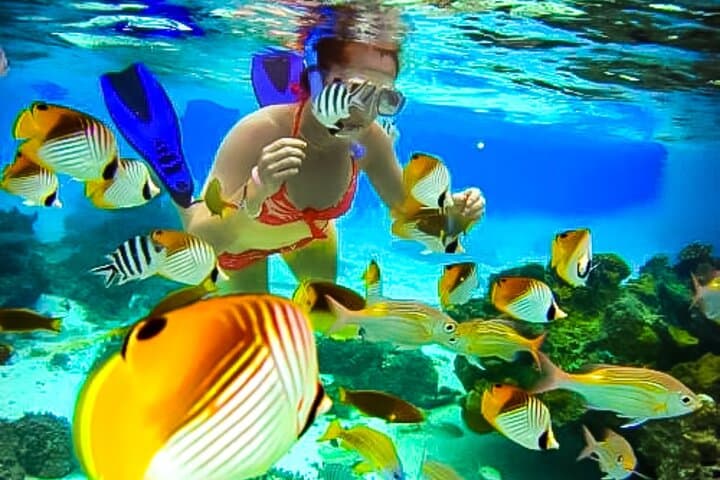 Family Snorkeling & Lunch from Montego Bay — Reef Adventure for All Ages photo 2