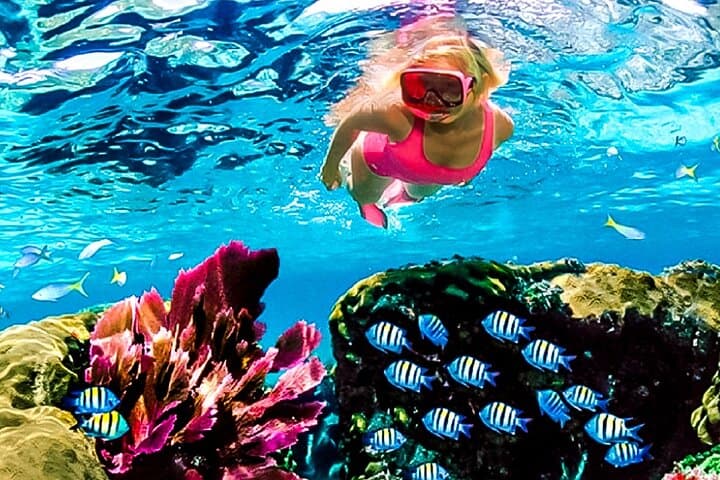 Family Snorkeling & Lunch from Montego Bay — Reef Adventure for All Ages photo 3