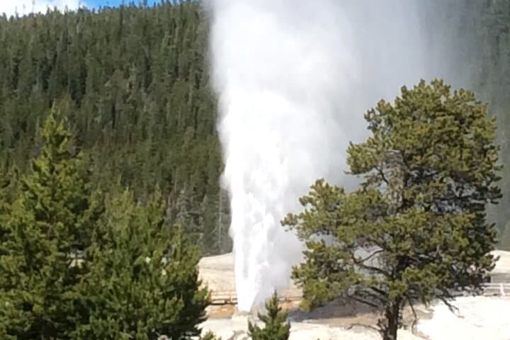 Full-Day Yellowstone National Park Tour from Bozeman — Old Faithful, Canyon & Wildlife photo 5