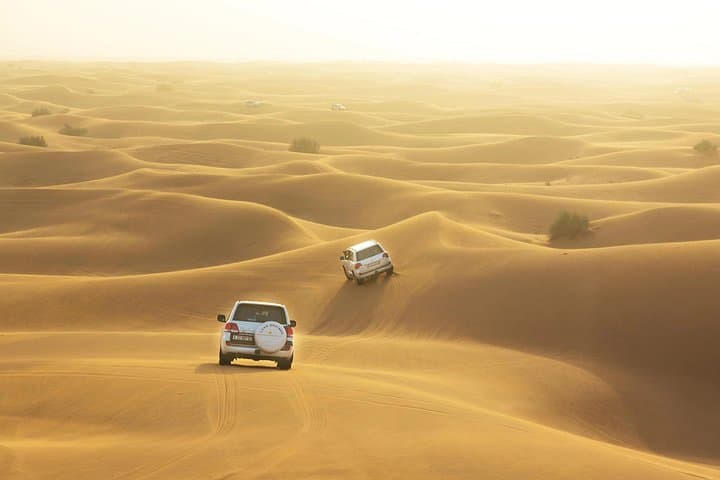 Dubai Desert Safari: Dune Bashing, Camel Rides & Bedouin Camp Experience