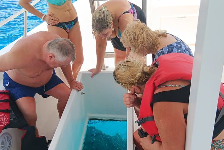 Barbados Turtle Feeding & Shipwreck Snorkel: 2-Hour Glass-Bottom Boat Tour