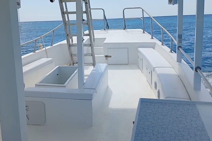 Barbados Turtle Feeding & Shipwreck Snorkel: 2-Hour Glass-Bottom Boat Tour photo 4