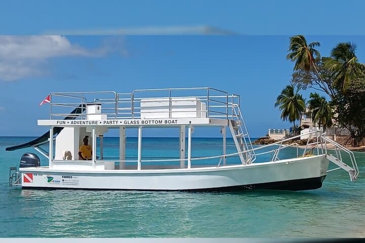 Barbados Turtle Feeding & Shipwreck Snorkel: 2-Hour Glass-Bottom Boat Tour photo 5