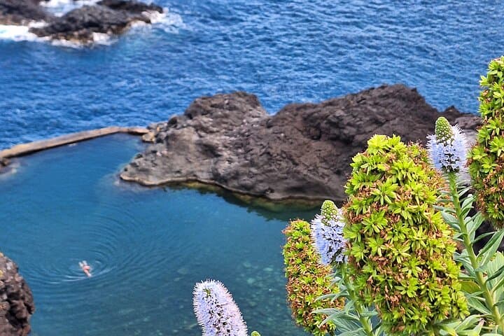 Private Madeira Island Tour — Full-Day 8-Hour Best Sights from Funchal photo 2