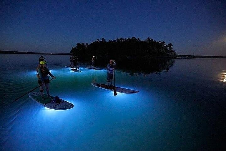 Glow Kayak Night Cruise: Paddle the Gordon Bay Islands at Dusk photo 1