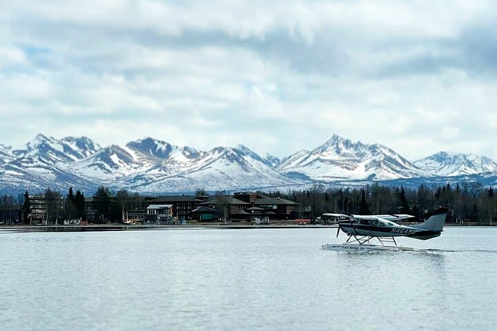 Anchorage City Tour: Top Sights, Moose & Coastal Views in 2–2.5 Hours