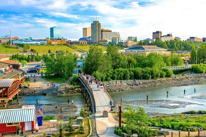 Anchorage City Tour: Top Sights, Moose & Coastal Views in 2–2.5 Hours photo 4