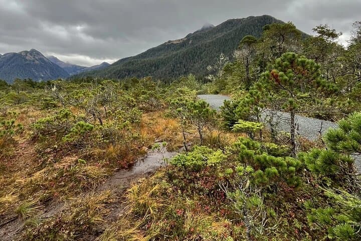 Guided Tongass National Forest Hike from Sitka — Eagles, Salmon & Tlingit Stories