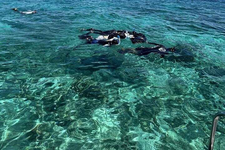 Half-Day Snorkel at Nalusuan & Pandanon: Morning Marine Sanctuary Tour photo 2