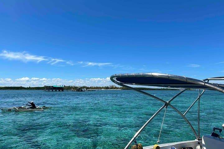 Half-Day Snorkel at Nalusuan & Pandanon: Morning Marine Sanctuary Tour photo 4