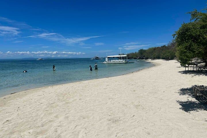 Half-Day Snorkel at Nalusuan & Pandanon: Morning Marine Sanctuary Tour