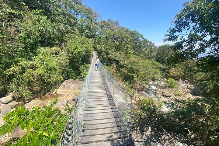 Hidden Paradise near Medellín: Támesis Coffee, Rock Art & Forest Trails photo 1