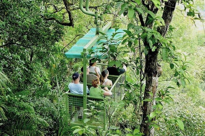 Gatun Lake Eco Adventure: Aerial Tram, Monkey Island & Sloth Sanctuary photo 4