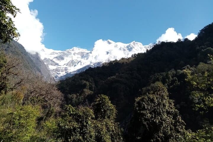 3-Day Kori Danda Trek from Pokhara: Tea Houses, Forests & Panoramic Himalayan Views photo 4