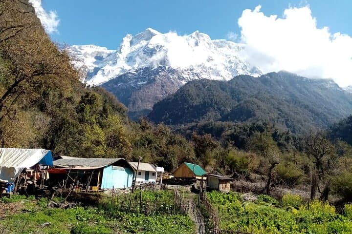 3-Day Kori Danda Trek from Pokhara: Tea Houses, Forests & Panoramic Himalayan Views photo 5