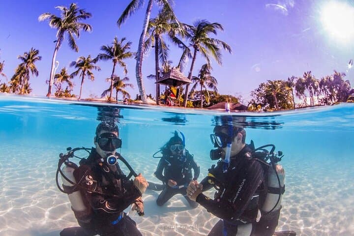 Discover Scuba Diving in Cebu: Introductory Mactan Scuba Experience photo 4