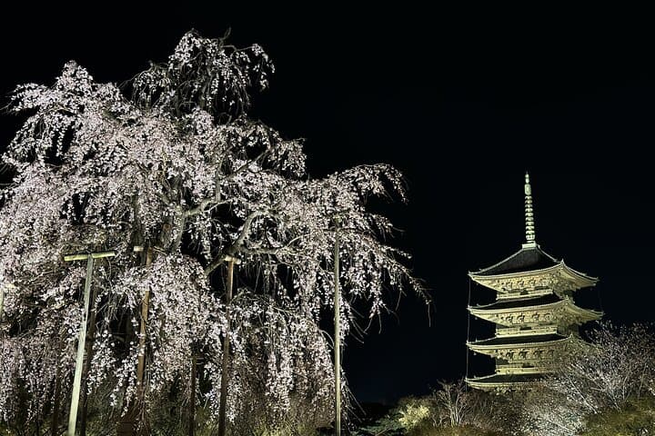 Private Kyoto Driving Tour: Efficient Full-Day Cultural Circuit with Local Driver photo 3