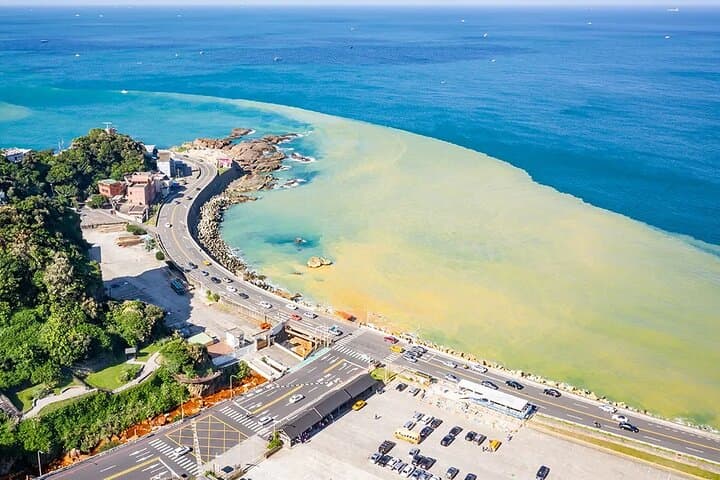 Jiufen Old Street & Northeast Coast Day Tour — From Gold-Mine Ruins to Coastal Cliffs photo 1