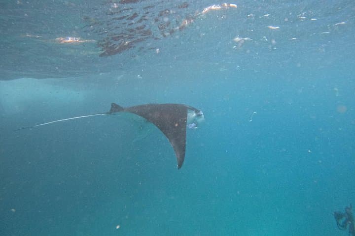 Discover Nusa Penida's Hidden Marvels: A Snorkeling & Island Adventure photo 4