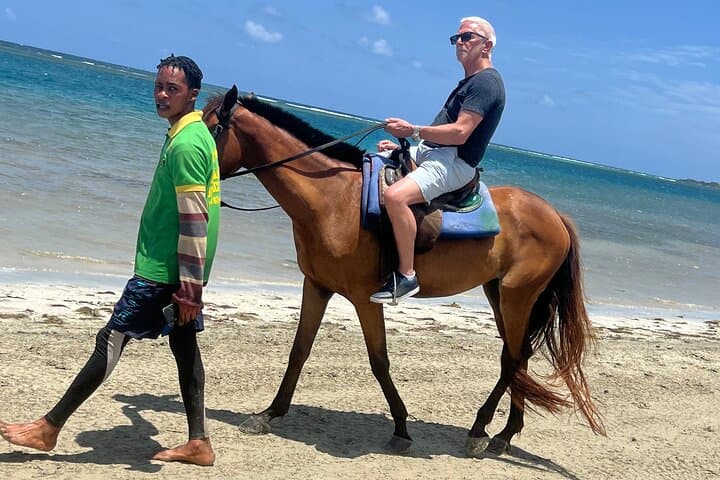 Montego Bay Horseback and Blue Hole Adventure: Beach Rides, Rope Swings & Dunn's River