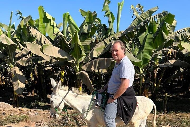 Village Donkey Ride and West Bank Ferry: Authentic Rural Luxor Experience photo 2