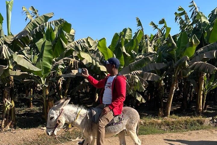 Village Donkey Ride and West Bank Ferry: Authentic Rural Luxor Experience photo 3