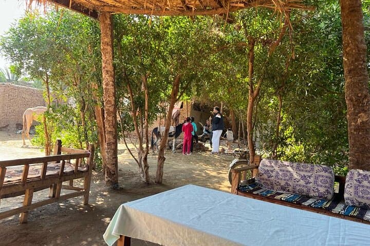 Village Donkey Ride and West Bank Ferry: Authentic Rural Luxor Experience photo 4