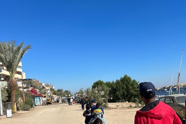 Village Donkey Ride and West Bank Ferry: Authentic Rural Luxor Experience photo 5