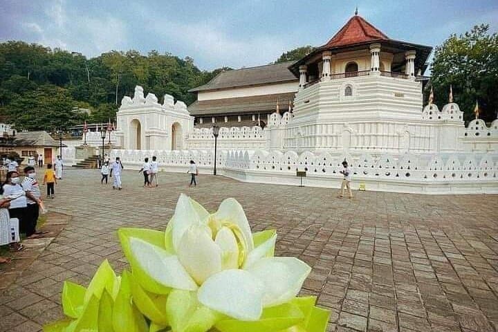 Discover Sri Lanka: An All-Inclusive 9-Day Adventure photo 4