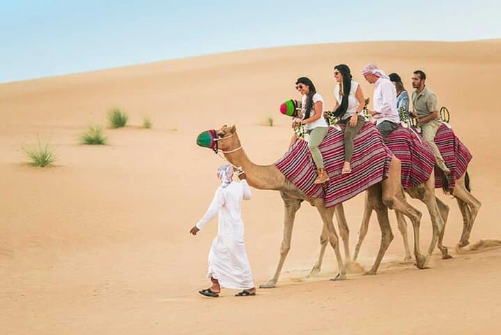 Private Morning Desert Safari & Quad Bike Adventure in Dubai photo 5