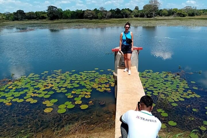Wilpattu Leopard Safari: Private Day Trip from Colombo or Negombo photo 4