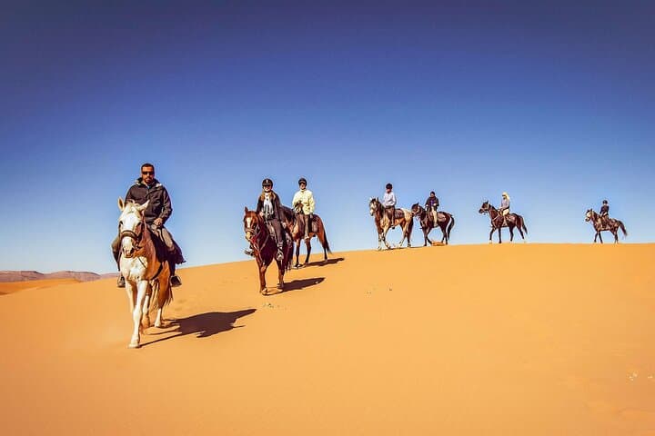 Doha Desert Horseback Ride: Arabian Horse Riding Experience from Doha