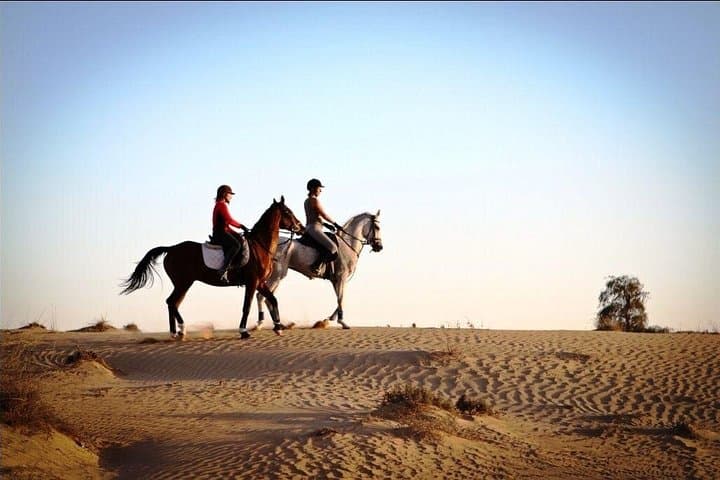 Hurghada Beach Horse Riding: One-Hour Red Sea Coastal & Desert Ride photo 2