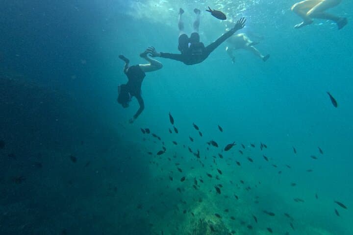 Explore Cala Varques Sea Caves by Kayak: Guided Tour & Snorkeling in Mallorca photo 6
